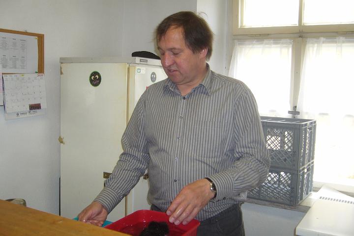 Bild 554.jpg